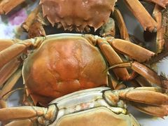 -丫丫蟹庄·苏式园林农家乐·阳澄湖大闸蟹(阳澄湖莲花岛店)