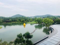 -上海佘山世茂艾美酒店