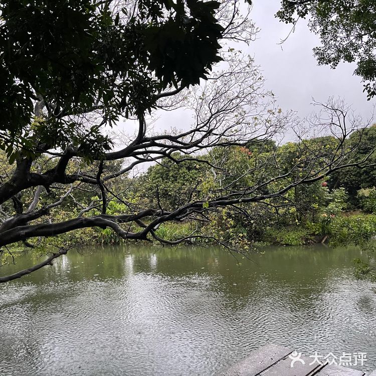 【接霞庄 古法明炉】