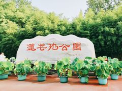 -莲花池公园