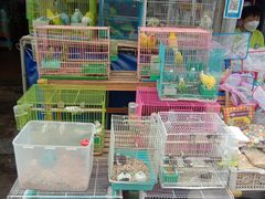 -白纸坊建功北里百姓生活服务中心·佳果多生鲜超市