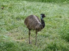 -石家庄市动物园