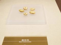 -嘉定博物馆