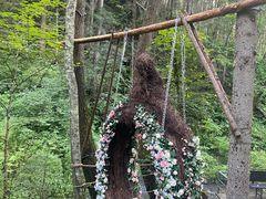 -峡谷浮石林景区