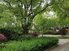 -徐家汇源景区-衡山公园