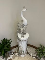 -新生植发·植养护一体