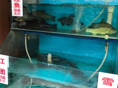 -高坎一品甲鱼庄(两河店)