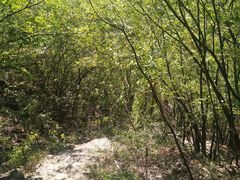 -孤山寨风景区