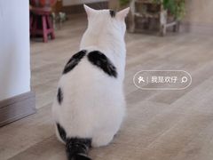 -三仟津花园咖啡馆