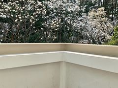 -浙江大学(玉泉校区)