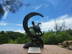 -广东惠东海龟国家级自然保护区