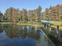 -东湖生态旅游风景区