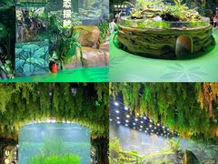 -海合安成都极地海洋公园