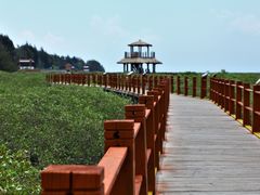 -北海金海湾红树林生态旅游区