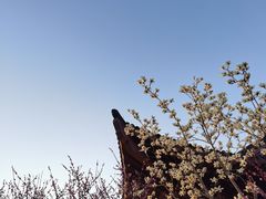 -浙江大学（紫金港校区）求是书院