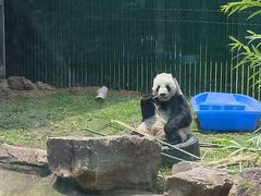 -沈阳森林动物园