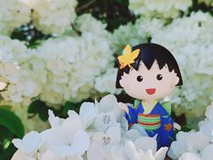 -上海滨江森林公园