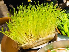 有机活体豆苗-盡膳口福·百年汤方火锅(科华北路店)