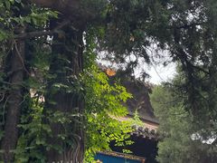 -洛阳白马寺