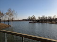 -东郊湿地公园