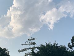 -广州长隆欢乐世界