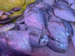 -芦潮港集贸市场