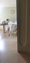 -上海百佳妇产医院