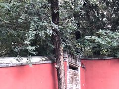-潭柘寺景区