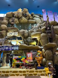 -卡通尼·Safari非洲探索乐园·生日会(金桥国际商业广场店)