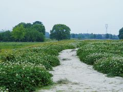 -良渚古城遗址公园