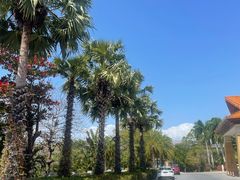 -三亚海棠湾万丽度假酒店