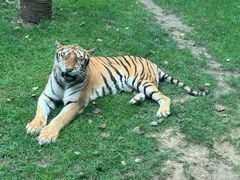 -北京野生动物园