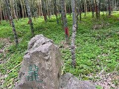 -采石矶景区