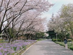 -白塘生态植物园