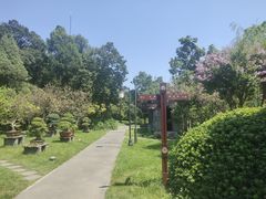-盆景园(扬州大运河文化旅游度假区)