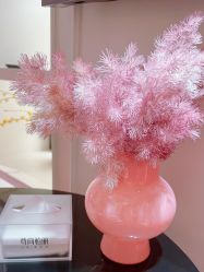 -尊尚柏丽美容SPA