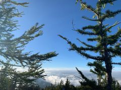 -富士山吉田線五合目