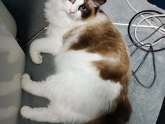 -零纪元VR体验馆·桌游(黄浦店)