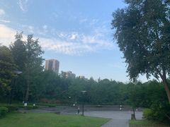 -重庆彩云湖湿地公园