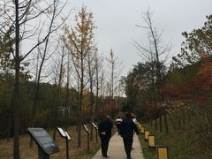 -白鹿原影视城