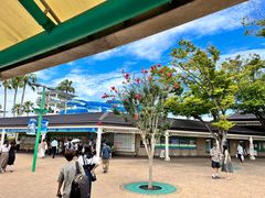 -三井奥特莱斯购物城(爵士之梦长岛店)
