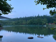 -东平国家森林公园
