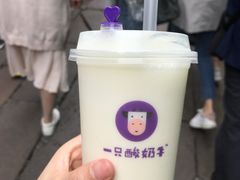 -一只酸奶牛(八一路店)