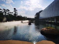 -罗红摄影艺术馆