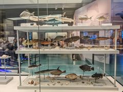 -上海中国航海博物馆