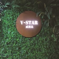 点击看大图 -V-STAR威斯达•高级私人定制