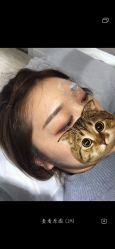 -MIVI半永久纹眉绣眉