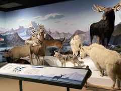 -陕西自然博物馆