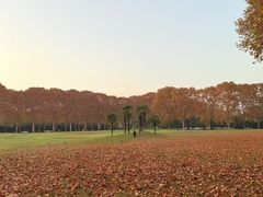 -河南省黄河迎宾馆