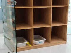 -纳吉亚猫专科动物诊疗中心(蒋宅口分院)